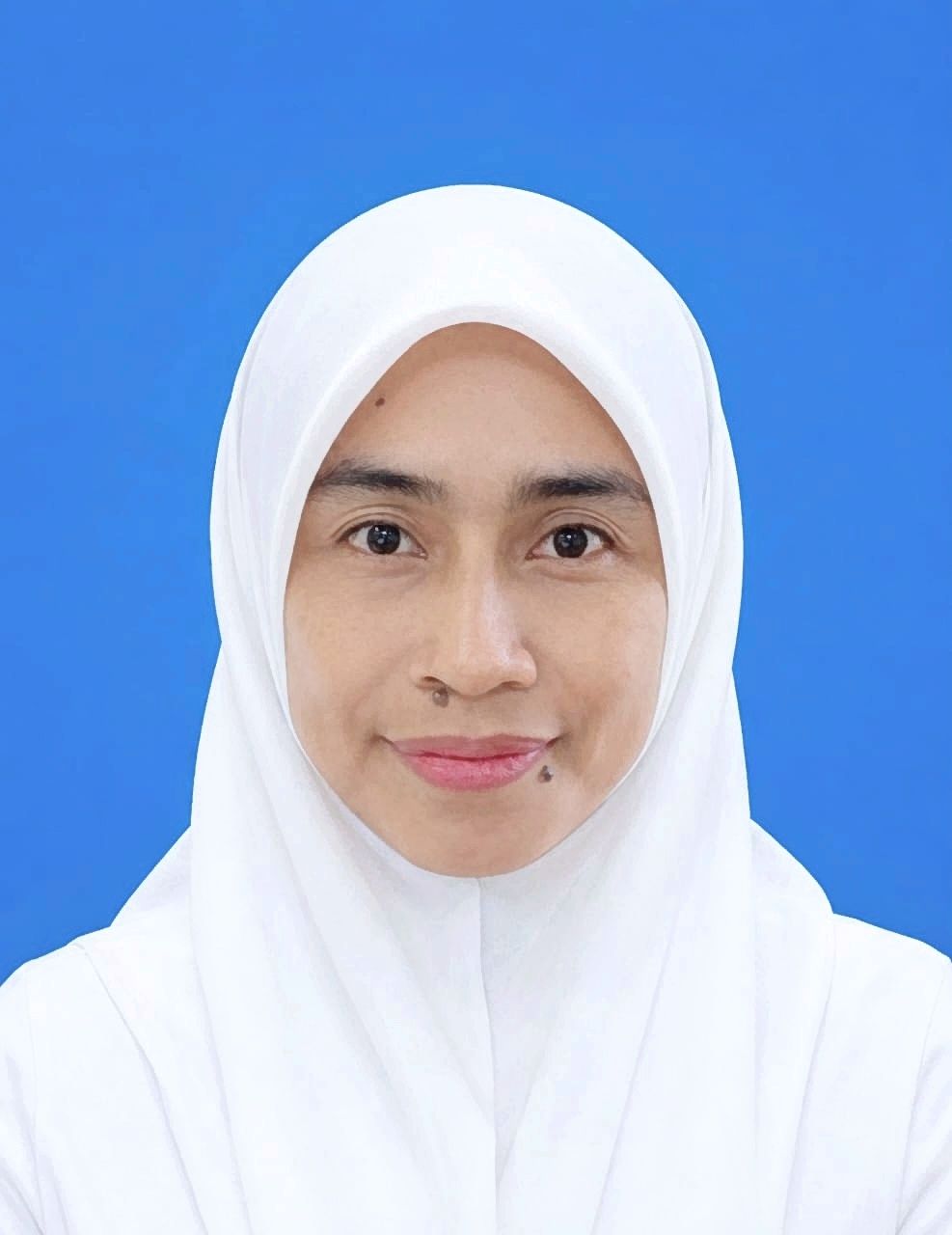 Pengadil 11