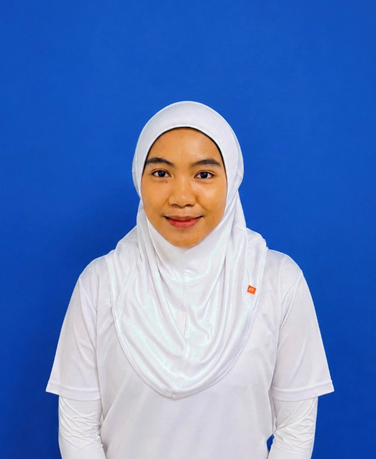 Pengadil 17